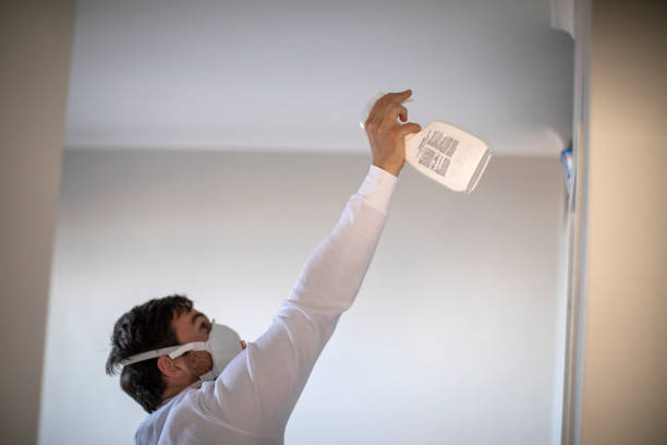 Best Affordable Mold Removal  in Morris, AL